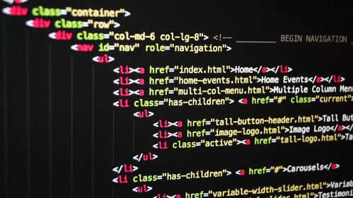 java处理html代码（html语言和java）