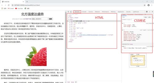 html放大代码（HTML放大）[20240504更新]