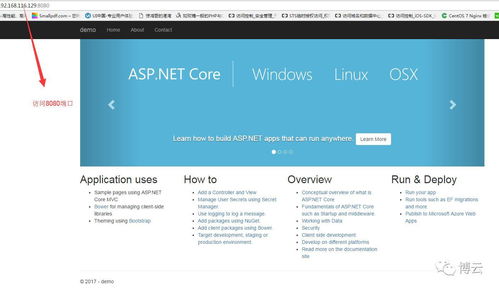 asp.net代码展开(aspnet开发教程)