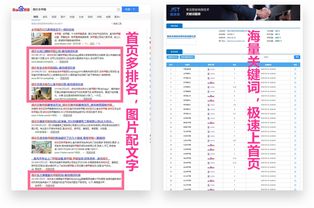 上海网站搜索排名(上海优质网站seo有哪些)