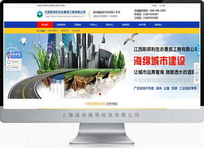 上海网站建设在线咨询(上海网站建设服务)