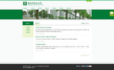 重庆网页设计(重庆网页设计比赛)