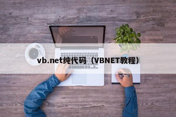 vb.net纯代码（VBNET教程）