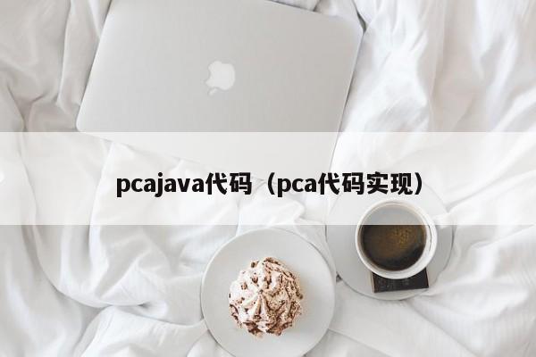 pcajava代码（pca代码实现）