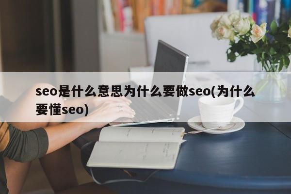 seo是什么意思为什么要做seo(为什么要懂seo)