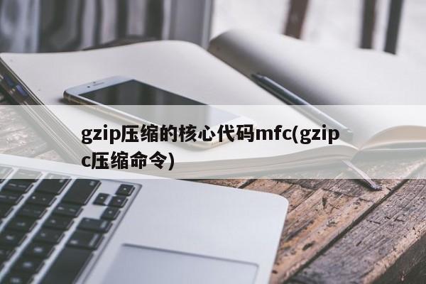gzip压缩的核心代码mfc(gzip c压缩命令)