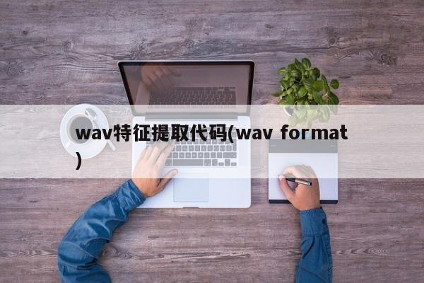 wav特征提取代码(wav format)