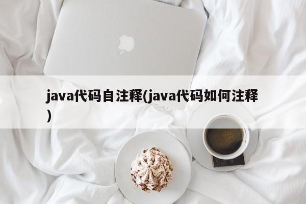 java代码自注释(java代码如何注释)