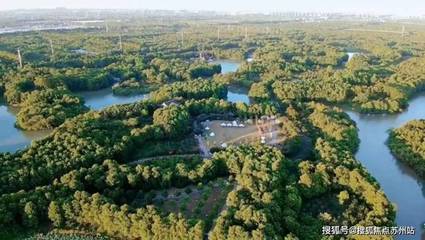 上海森林公园电话,上海市森林公园门票多少钱